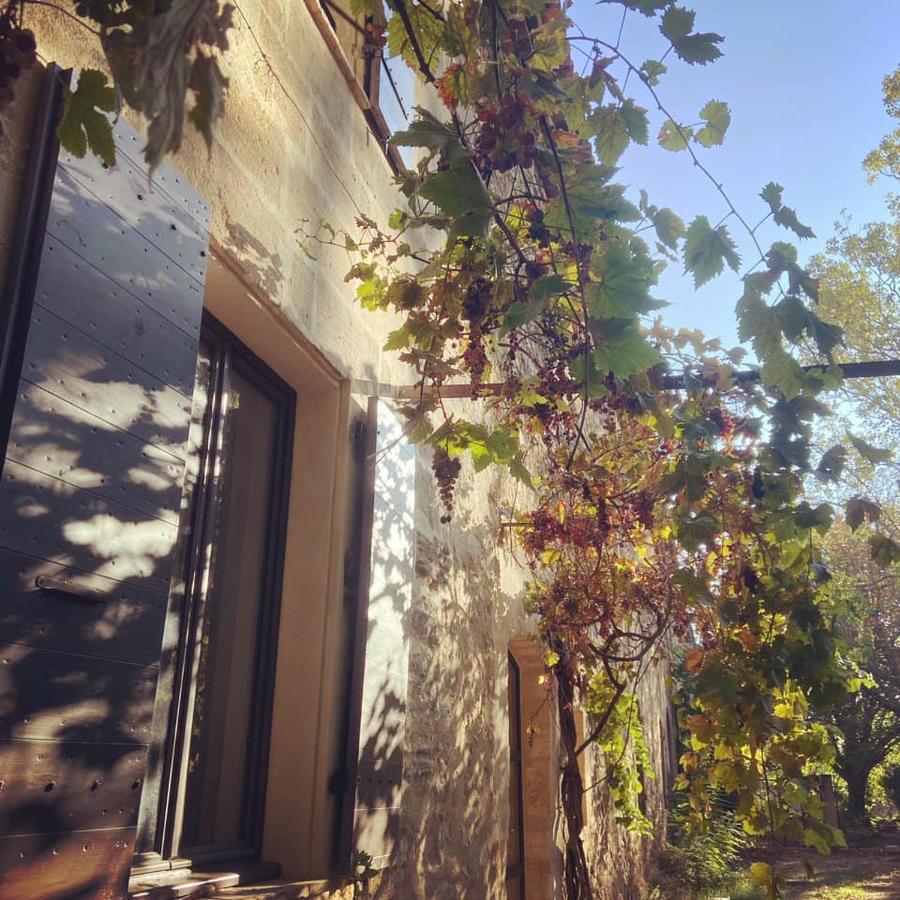 Domaine Cap Rubis Bed & Breakfast Paradou Exterior photo